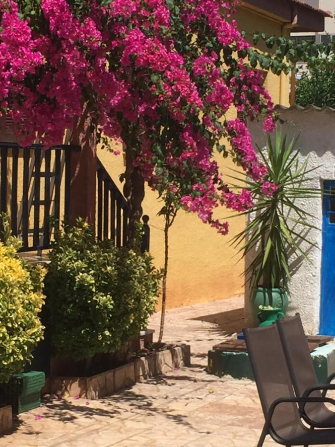 Cosy Guesthouse-Souterrain With Garden In City Center Corinth Exterior photo